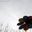 목련초등학교 이미지