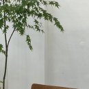 원데이클래스-도예 이미지