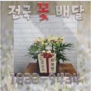 완산-97 네이버블로그