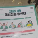 코로나 백신 화이자 3차 후기