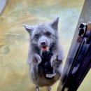 마리앤쥬 이미지