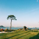 카페해오름 이미지