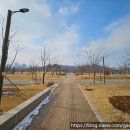 유림-1051 이미지