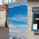 노래하는오렌지 이미지