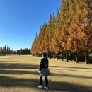 (주)신세계이마트강서점 | 2025 ep.11-3 | 가을은 여전히 내 옆에 (도모헌, 광안리, 톤쇼우 남포, 자갈치시장, 혜인 생일파티 겸...