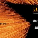 뉴해피 이미지
