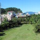 고성버드리민박 이미지