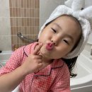 예솔이네 티스토리