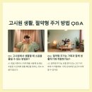 늘세움공인중개사사무소 이미지