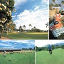 하와이비치 이미지