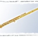 플릇사랑 이미지