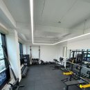 리햅포먼스 이미지