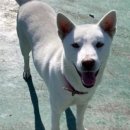 한림 도서관 앞 이미지