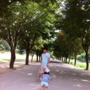 새재유치원 | 문경새재 도립공원 미로공원 아이와 함께 가볼 만하지요
