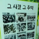 메미리