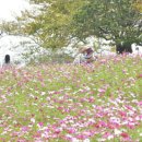산들목장