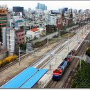 H1559 이미지