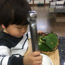 횡성축산한우프라자