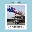 삼락생태공원 입구 맞은편 GS편의점 앞 | 부산 캠핑 카라반 지오클럽 힐링 후기