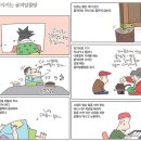 동의보감이 소개하는 몸에 좋은 건강차 이미지