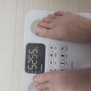 체인지 핏 | 체인지핏 다이어트 후기 뱃살 쉐이크 먹고 빼는법