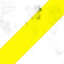 독도꽃새우 이미지