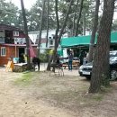 파인우드비치 이미지