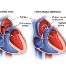 샤인고양이메디컬센터 이미지