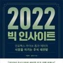 빅인사이트