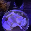 리얼펍&살얼음맥주 청주오창점 | 오창 리얼펍 살얼음맥주 / 코젤맥주 _생맥주맛집