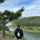 솔내음숲속작은집 이미지