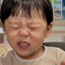 베베엔젤어린이집 | Jun.01 - 걍