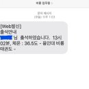 용인대 비룡 태권도장 이미지