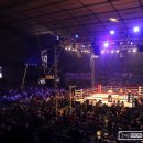 복싱아레나 이미지