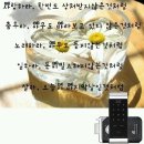 현대전자 이미지