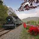 기차마을 이미지