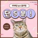 딱 5분! 마케팅 뉴스 클리핑(25.04.17.)