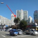 옵티마 다정약국 이미지