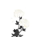 보석장 | 천옥 유골보석 후기, 전체유골사리로 이어진 저만의 방식