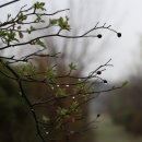 능내2리 마을회관 이미지