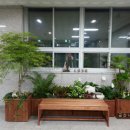 우솔초등학교 이미지