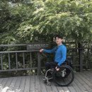 마포트립