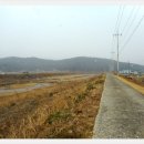 남천제방길 이미지