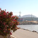 순례자의 섬 게스트하우스 이미지