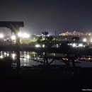 엠엔케이 이미지