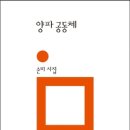 손미인