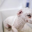 멈머링(mummuring) 이미지