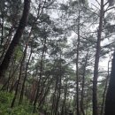 도동교차로 경관개선 | 아이들과 떠난 대구 캠핑, 용암산성오토캠핑장 비가 와도 즐거웠던 시간