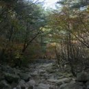 성경연 Daum카페