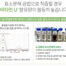 #오롯이 담은 유기농 양배추즙